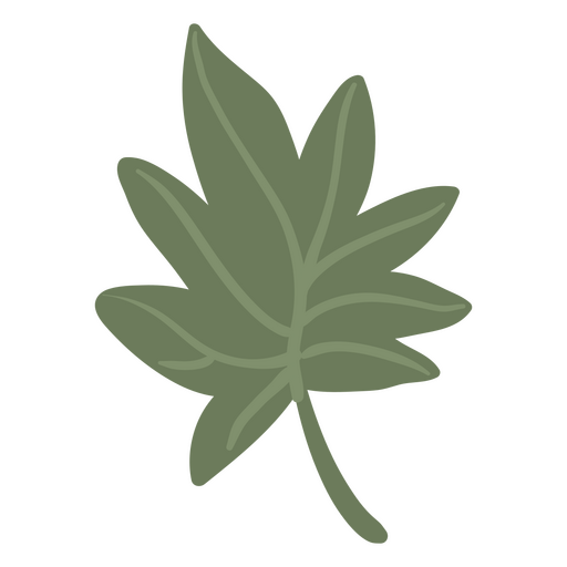 Leaf flat palmate PNG Design