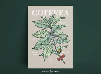 Diseño de cartel de café de especies de plantas.