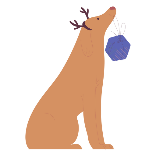 perro regalo de navidad Diseño PNG