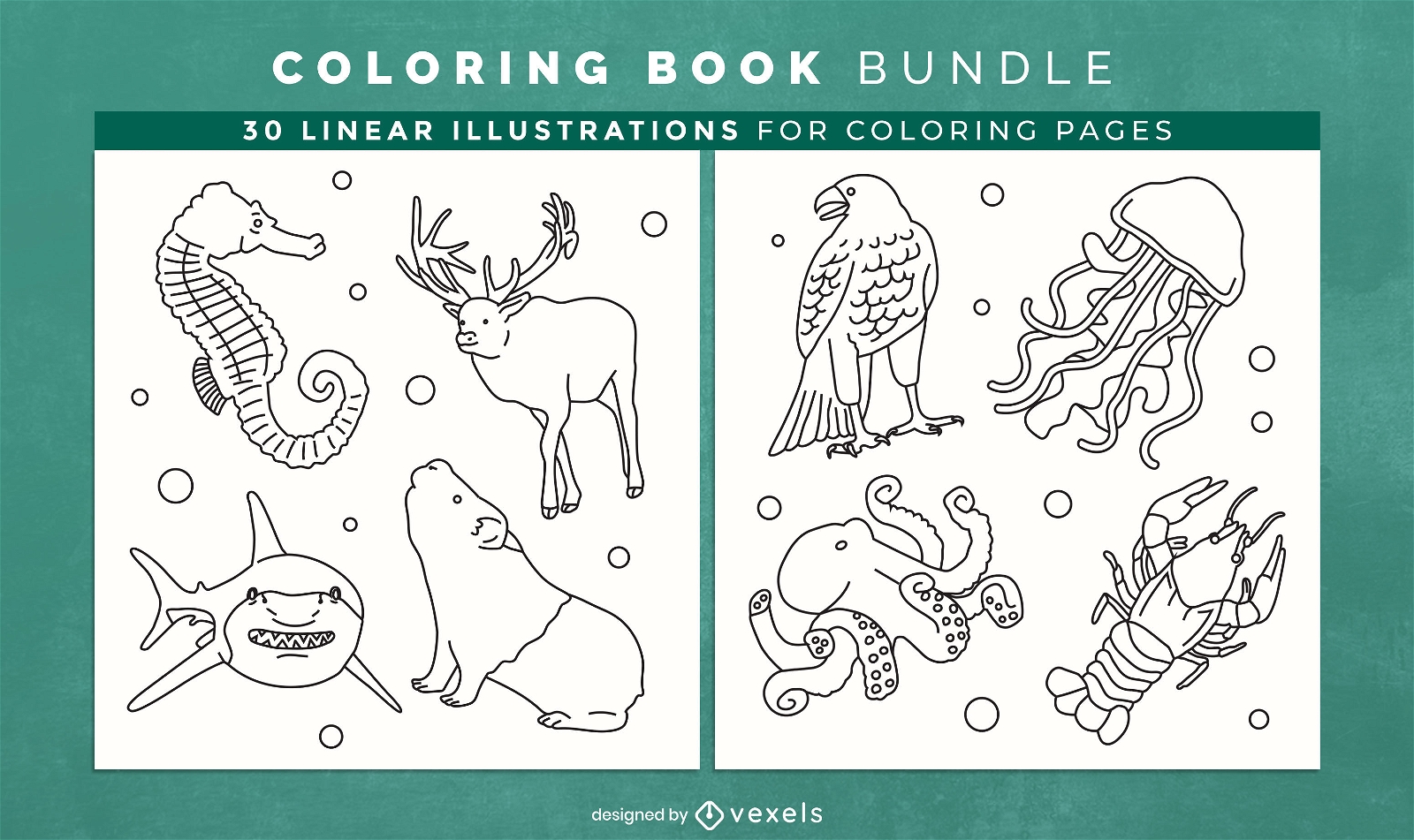 Diseño de páginas de libro para colorear de vida silvestre animal