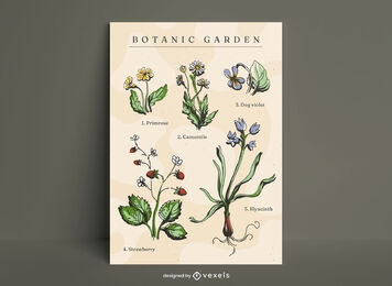Plantilla de cartel de naturaleza de plantas botánicas