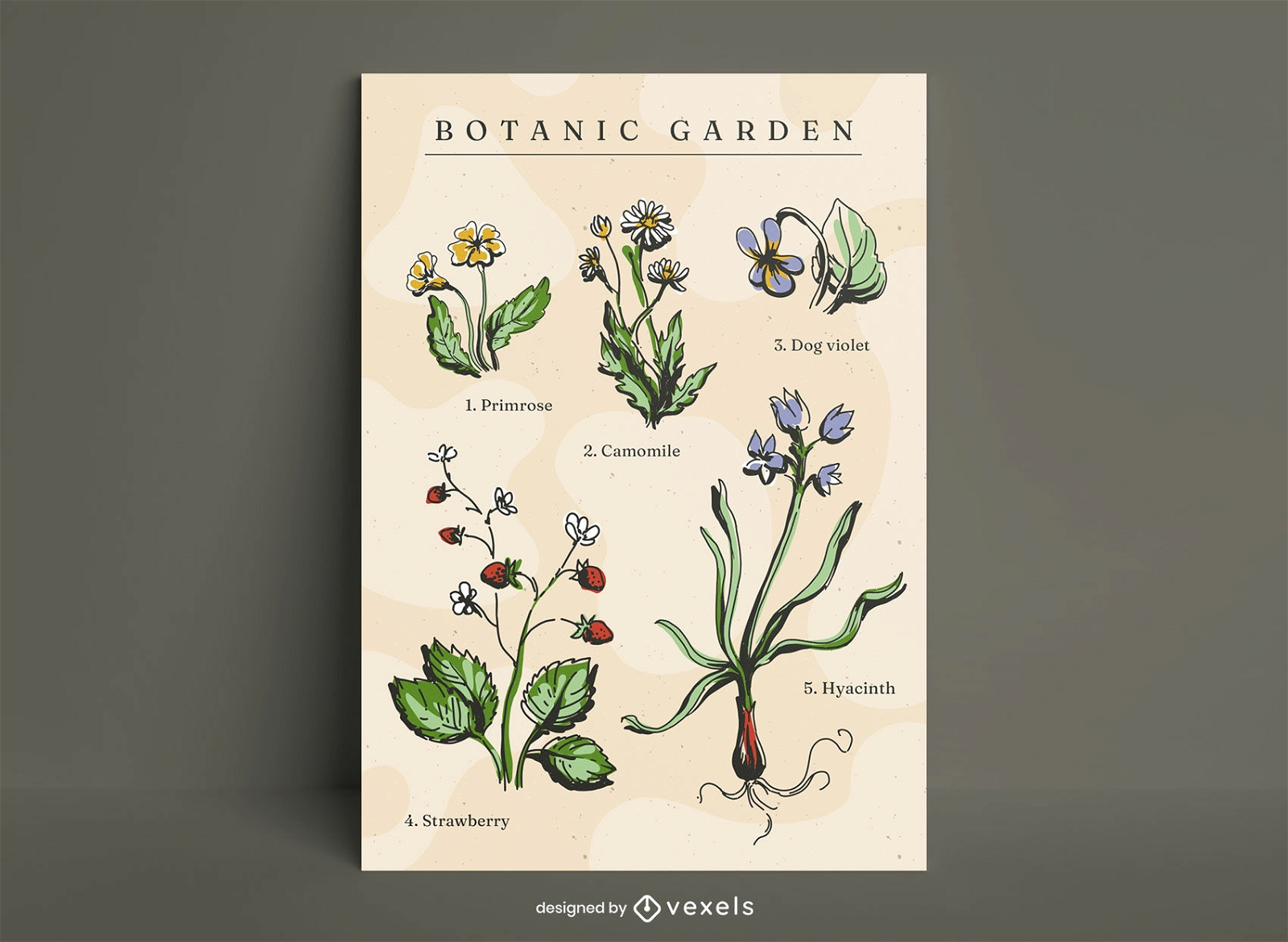 Botanische Pflanzen Natur Poster Vorlage