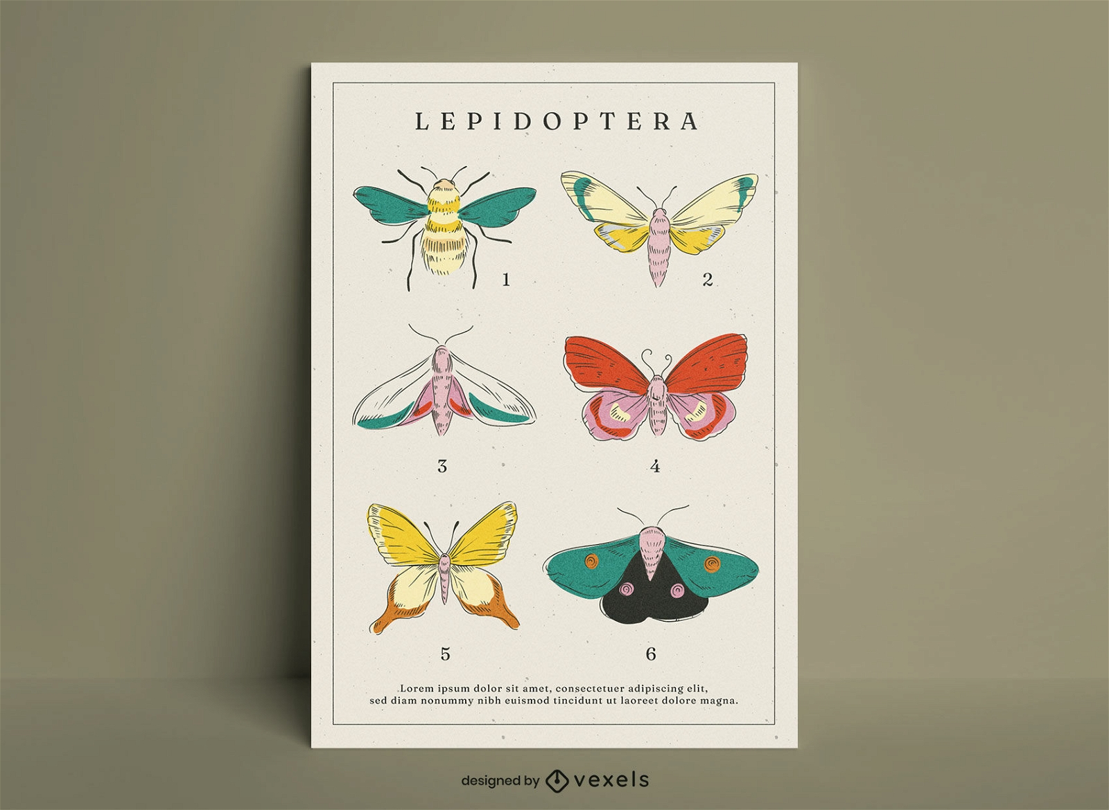 Modelo de pôster natureza borboleta insetos