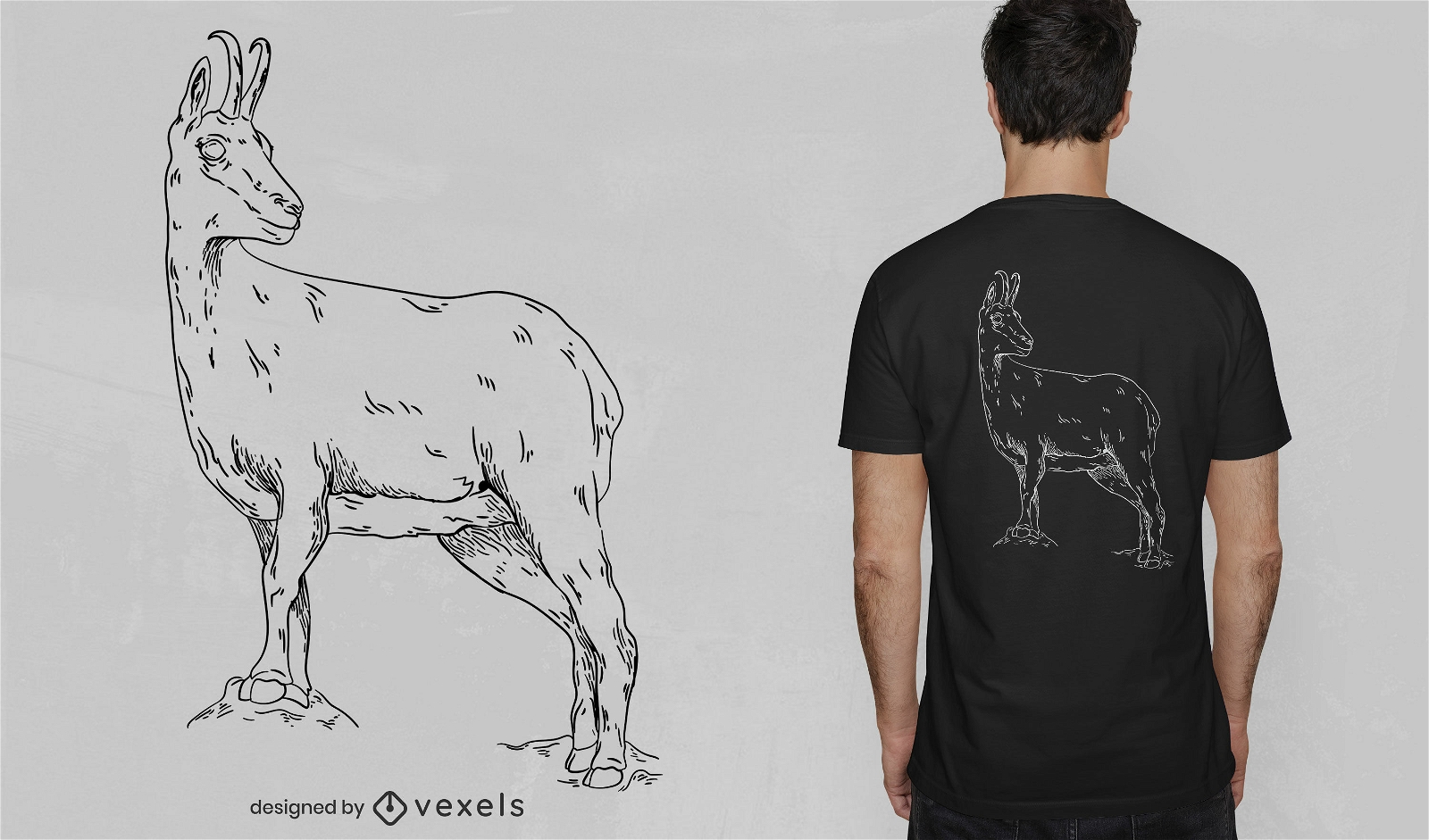 Isard Tier handgezeichnetes T-Shirt Design