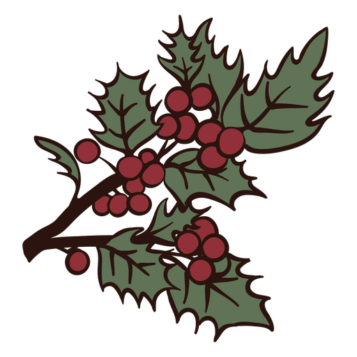 Winter Solstice Mistletoe Branch PNG Design