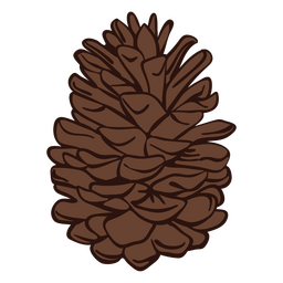 Imagen de piña de invierno Diseño PNG