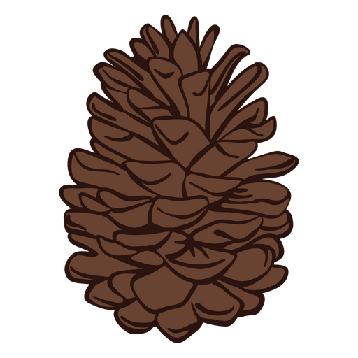 Imagen de piña de invierno Diseño PNG