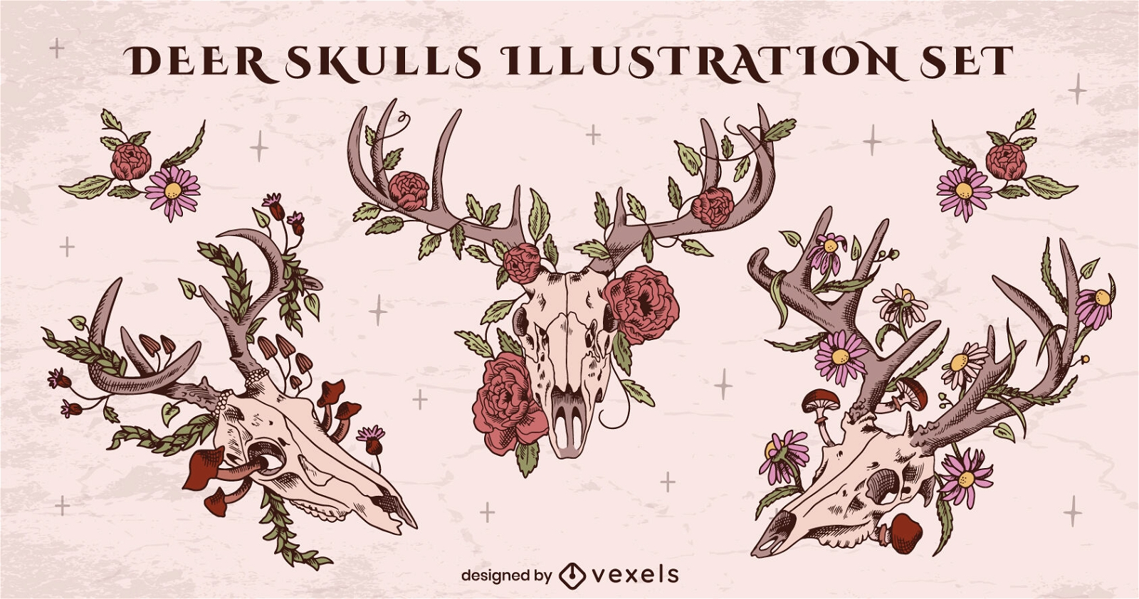 Deer skull illustration set