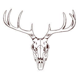 Front deer skull PNG Design Transparent PNG