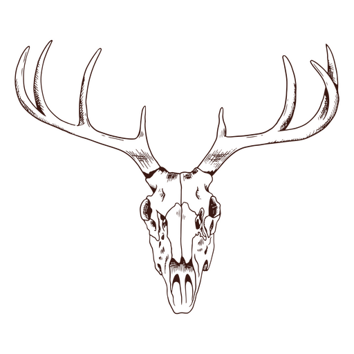 Cráneo de venado frontal Diseño PNG