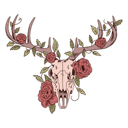 Crânio de veado de flor frontal Desenho PNG