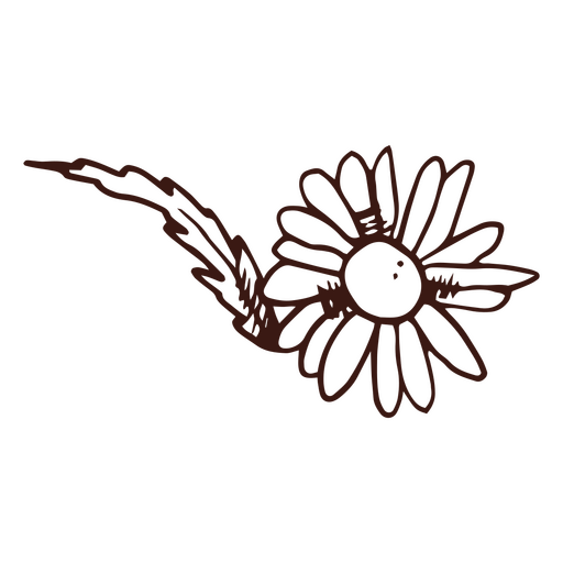 Elementos de la naturaleza trazo de flor de margarita Diseño PNG
