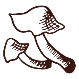 Pequenos cogumelos em crescimento Desenho PNG