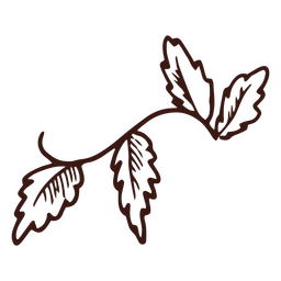 Folhas em um golpe de caule Desenho PNG