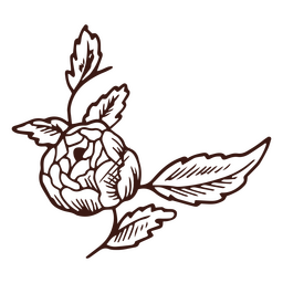 Curso de flores e folhas redondas Desenho PNG