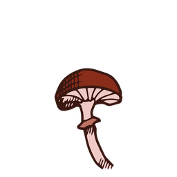 Kleiner brauner Pilz PNG-Design