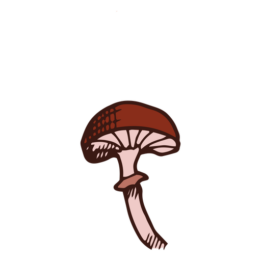 Cogumelo marrom pequeno Desenho PNG