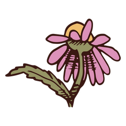 Flor murcha por trás Desenho PNG Transparent PNG