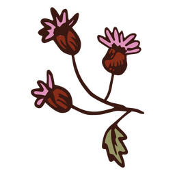 Flor ampranthus multiradiatus Desenho PNG Transparent PNG