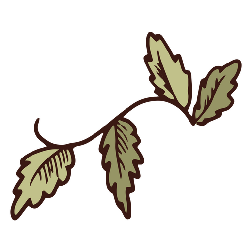 Caule de folhas verdes Desenho PNG