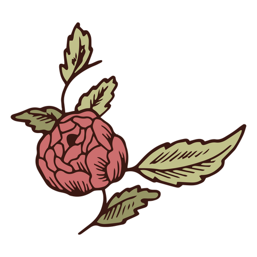 Runde rote Blume in einem Stiel PNG-Design