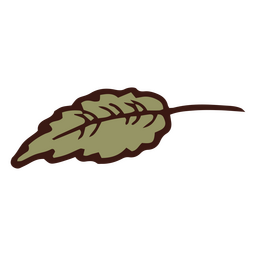 Elementos de la naturaleza sola hoja verde. Diseño PNG
