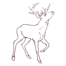 Hörner Hirsch Tier PNG-Design