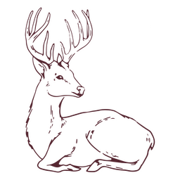 Sat animal deer  PNG Design