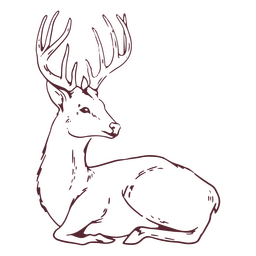 Venado animal sentado Diseño PNG