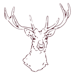 Tierischer Hirschhornkopf PNG-Design