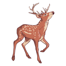 Deer horns illustration 