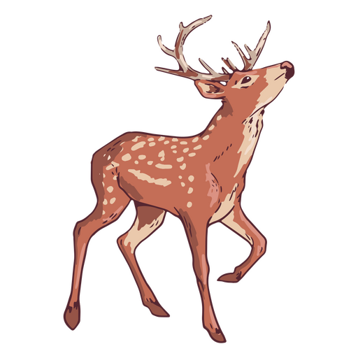 Deer horns illustration 
