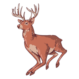 Hörner Hirsch Tierillustration PNG-Design