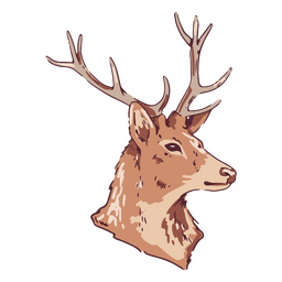 Ilustración de cabeza de ciervo Diseño PNG Transparent PNG