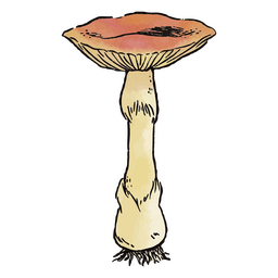 Nature watercolor mushroom PNG Design