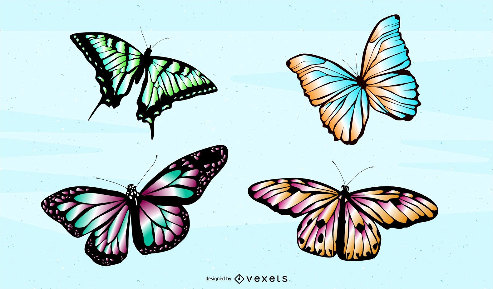 Download Vector Butterfly - Vector Download