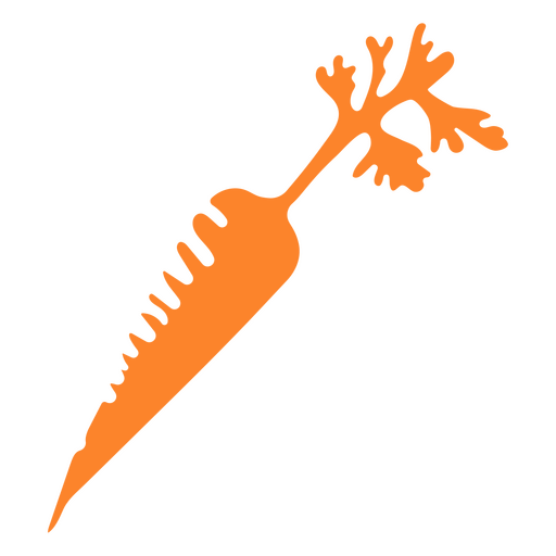 Orangen-Karotten-Essen PNG-Design