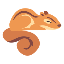 Animais esquilos Desenho PNG
