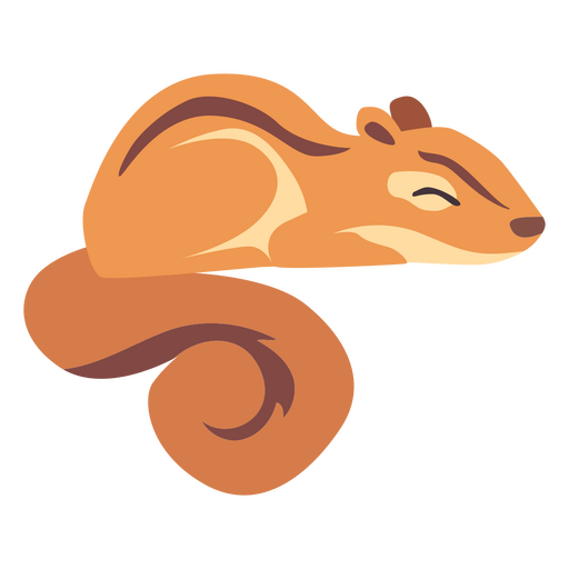 Animais esquilos Desenho PNG