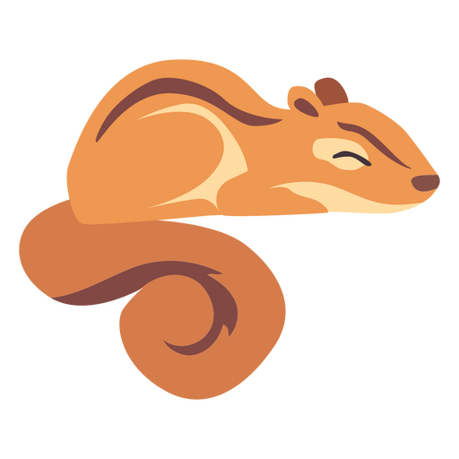 Eichhörnchen Tiere PNG-Design