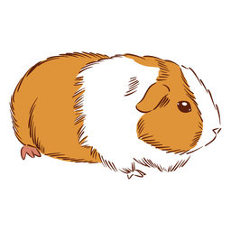 Animais de hamster porquinho da índia Desenho PNG