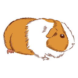 Meerschweinchen-Hamster-Tiere PNG-Design