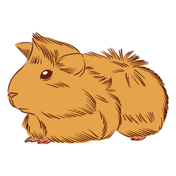 Cobaia hamster animais de estimação animais Desenho PNG