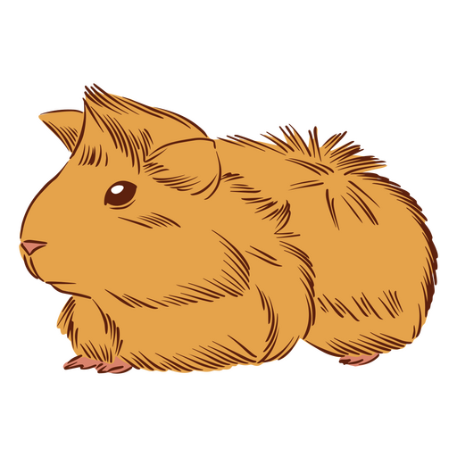 Cobaia hamster animais de estimação animais Desenho PNG