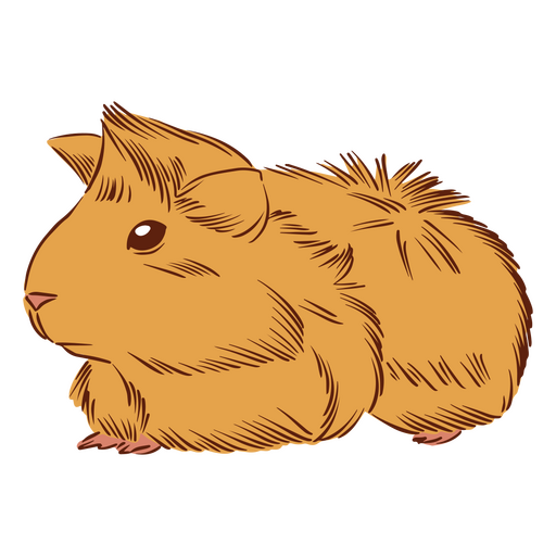 Meerschweinchen Hamster Haustiere Tiere PNG-Design