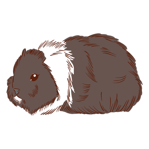 Hamster guinea pig animals PNG Design