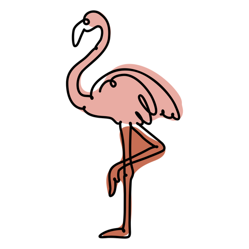 Cor da linha contínua Flamingo Desenho PNG