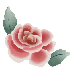 Rosa rosa con textura Diseño PNG