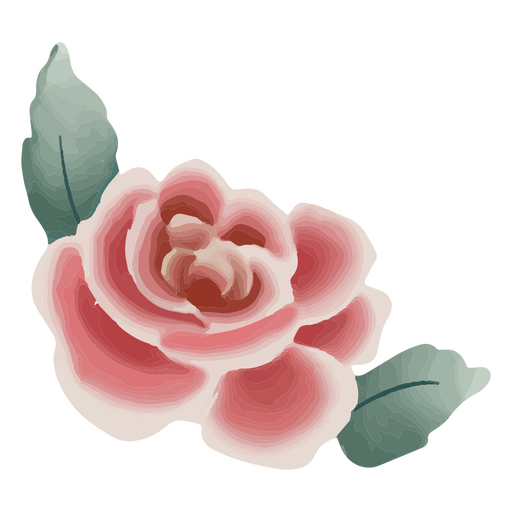 Rosa rosa con textura Diseño PNG