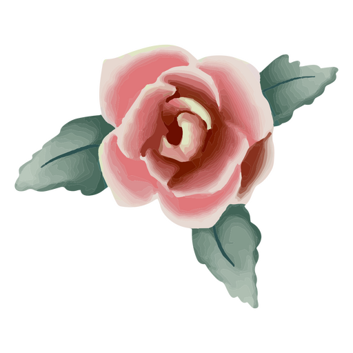 Rosa rosa texturizada con hojas Diseño PNG